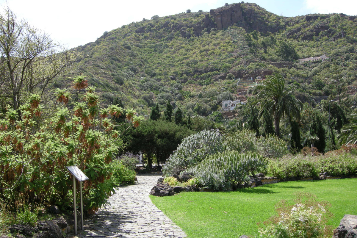 Las Palmas - Botanischer Garten - Vulkan