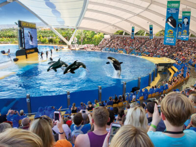 Loro Parque